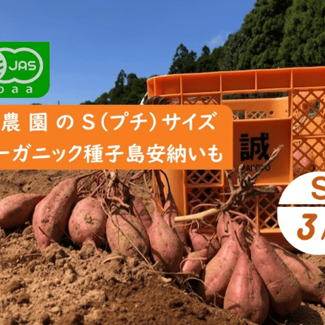 種子島安納いも Sサイズ 黄金 20kg 有機JAS認証「種子島安納いも」Sサイズ｜オーガニックが育む、小さく