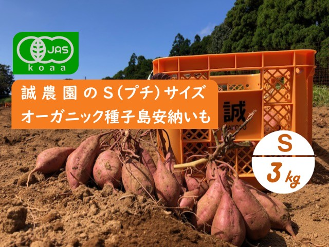 オーガニック種子島安納いも Sサイズ3kg｜有機認証 | 誠農園