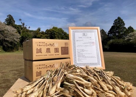 誠農園の たねがしま らっきょう｜オーガニック 有機JAS らっきょう【4.0kg】