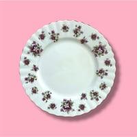 Violet plate