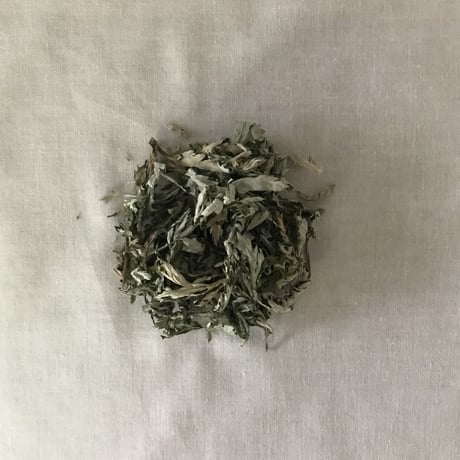 春のよもぎ茶