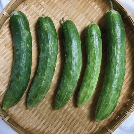 乾燥キュウリ