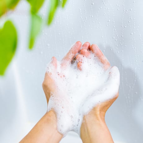 明日私は柿の木にのぼる