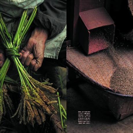 Soil mag. Vol.4 [ようこそ、パーマカルチャーの世界へ]