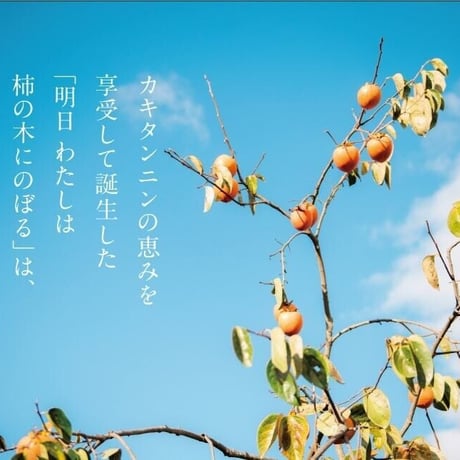 明日私は柿の木にのぼる