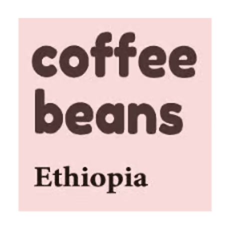 コーヒー豆　エチオピア　Shantawane CWS
