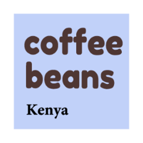 コーヒー豆 　ケニア　gachatha