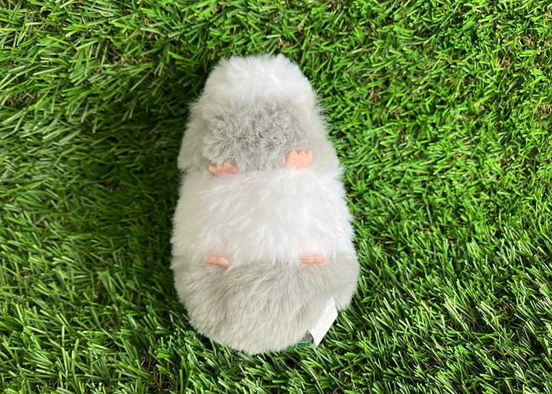 moumouモルモットSS (約10cm)【送料別】 | ひるがの高原 牧歌の里