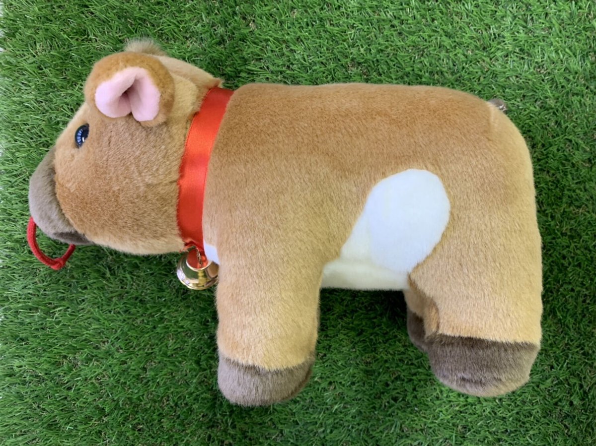 ジャージー牛のぬいぐるみ大【送料別】 | ひるがの高原 牧歌の里ネット