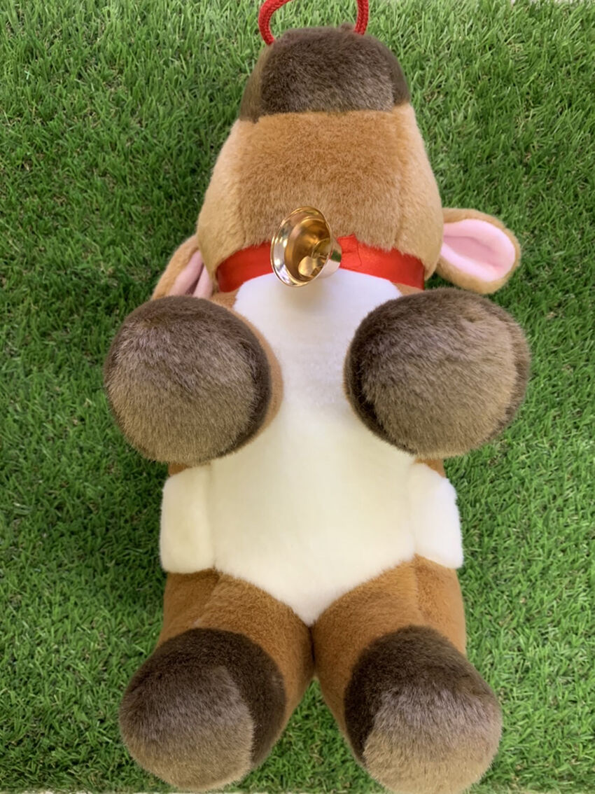 fit=scale-down,w=1200