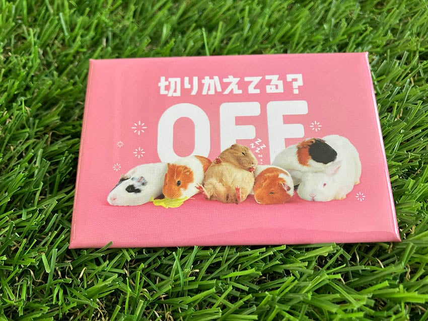 うちの子マグネット　５ぴょんセット うちの子マグネット 5ぴょんセット うちの子マグネット 5ぴょん