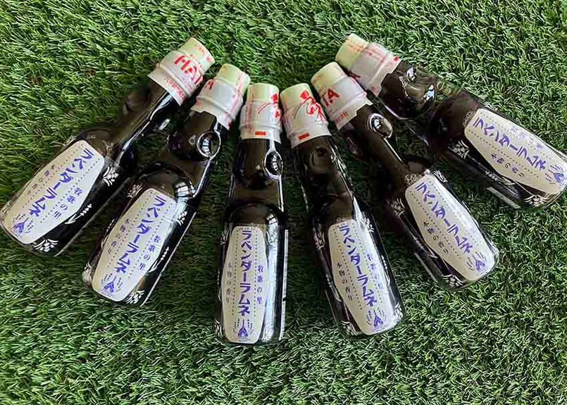 【おまとめ買い】ラベンダーさん専用 園芸ネット本店｜ラベンダー：センティヴィアブルー3～3.5号ポット2株