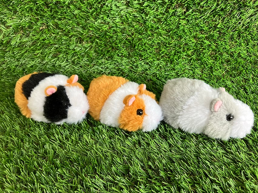 moumouモルモットSS (約10cm)【送料別】 | ひるがの高原 牧歌の里
