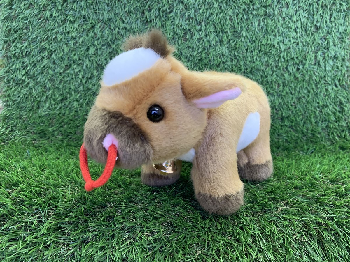 ジャージー牛のぬいぐるみ小【送料別】 | ひるがの高原 牧歌の里ネット