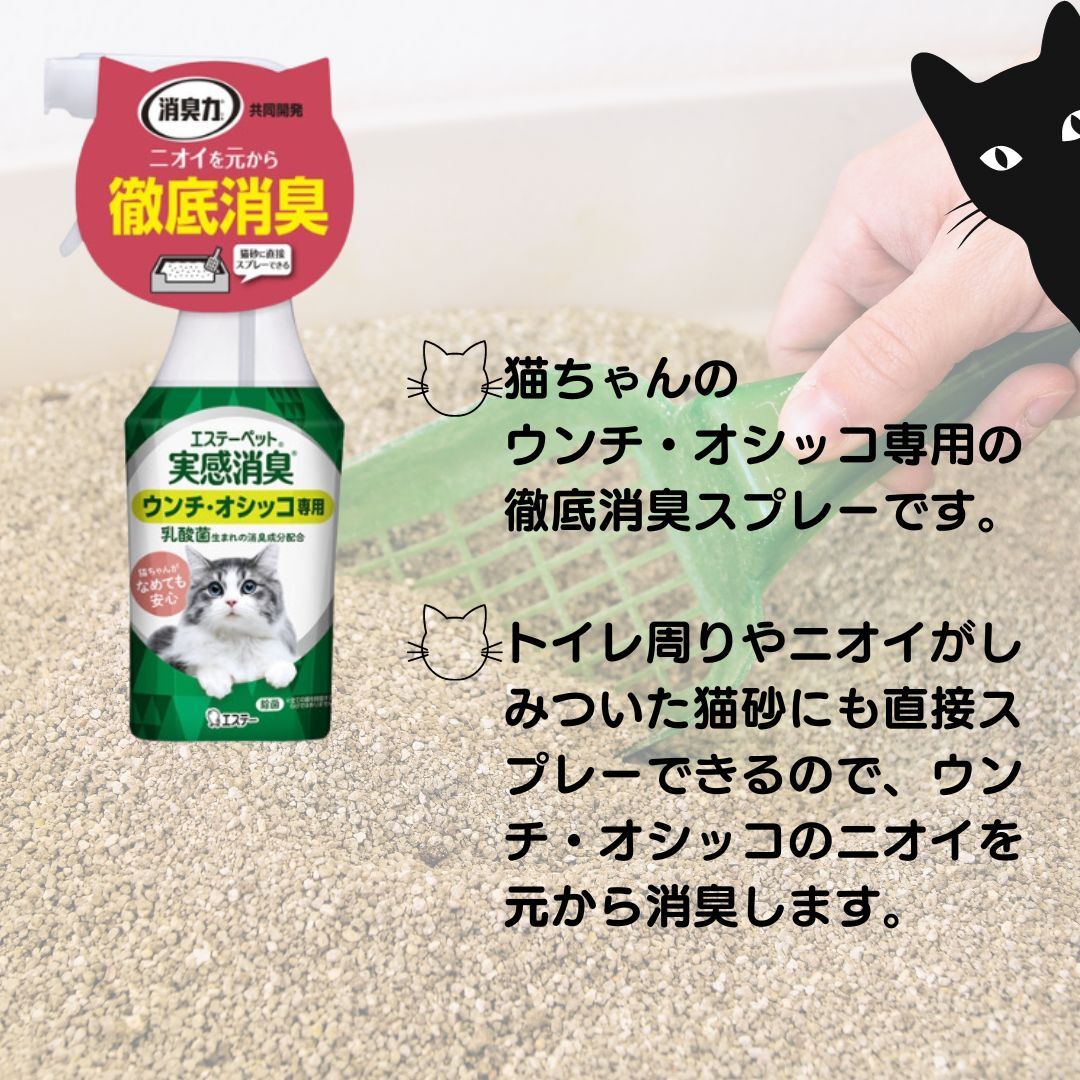 楽天市場】エステーペット 実感消臭スプレー 猫用 フレッシュグリーンの香り 270mL 1個セット : AngarooSHOP