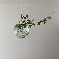 安達知江 針葉樹 | gallery1188