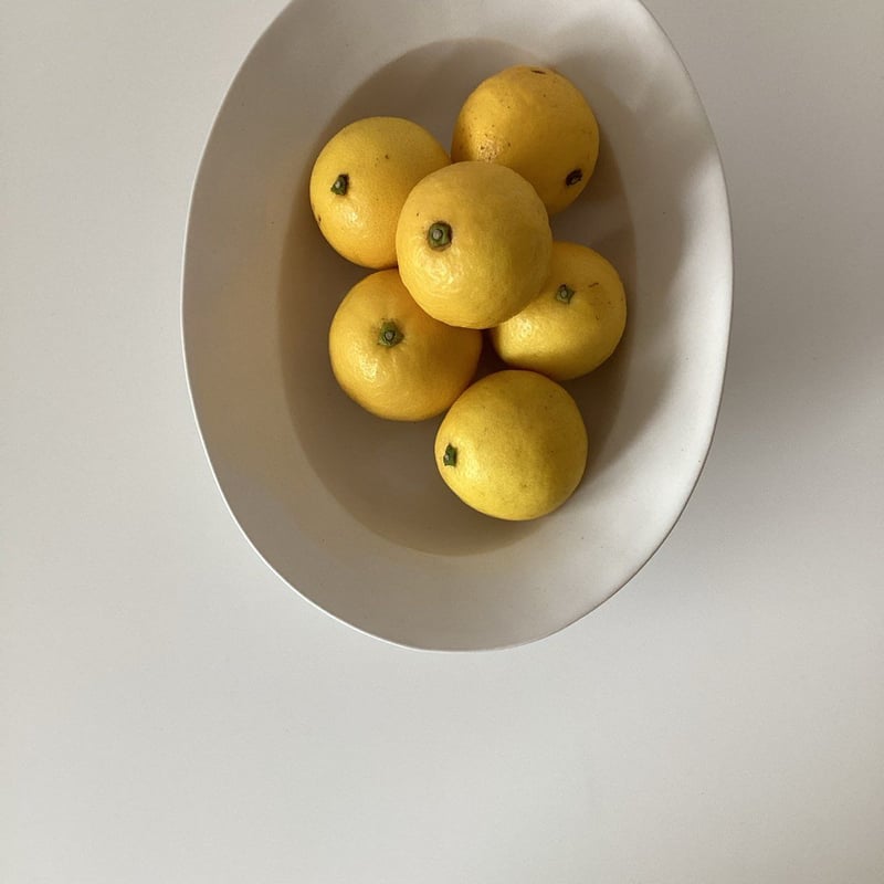 【極美品】田中直純　デザート皿　激レア 田中直純 1188オリジナルオーバルプレート | gallery1188