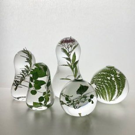CATEGORY ガラス | gallery1188