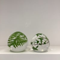 安達知江 girl チェリー | gallery1188