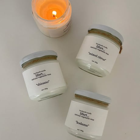 田中直純 花瓶 黒花器 花器 gallery1188