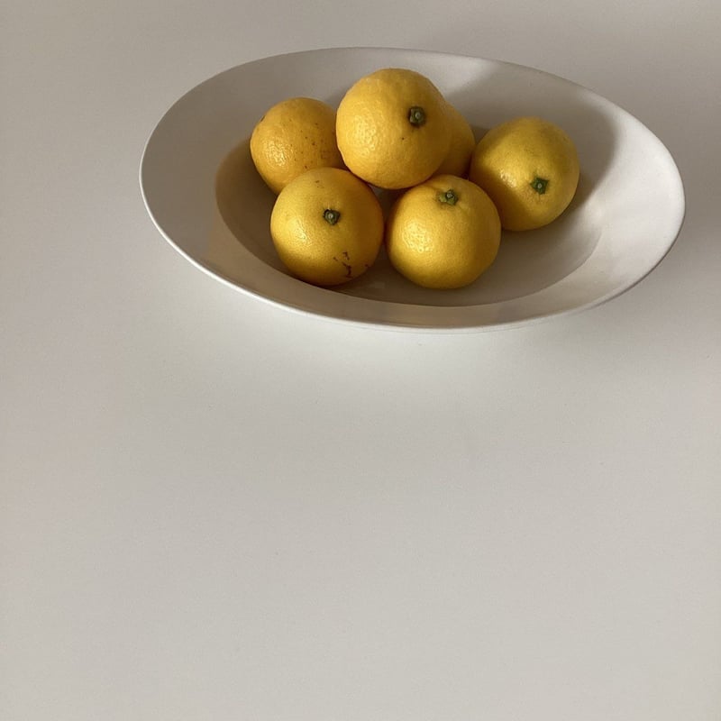 【極美品】田中直純　デザート皿　激レア 田中直純 1188オリジナルオーバルプレート | gallery1188