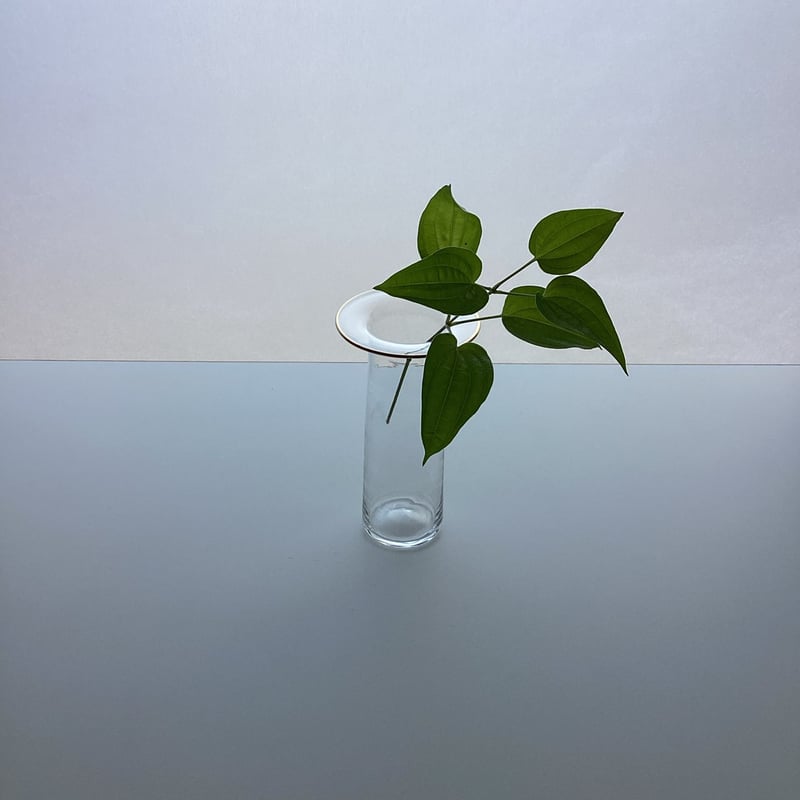 奥泰我 フラワーベース 大 置くだけで美しい風景が生まれる、ガラス作家 奥