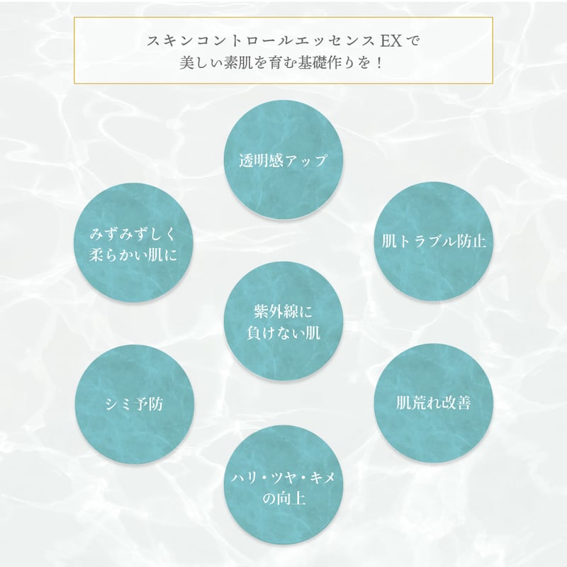 スキンコントロールエッセンスEX（50ml） | ソフィール博多 STORE