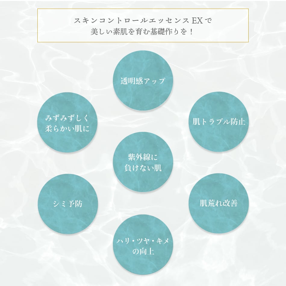 スキンコントロールエッセンスEX（50ml） | ソフィール博多 STORE