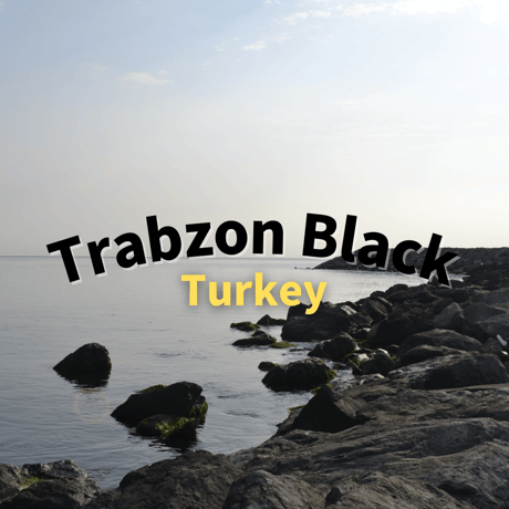 THE TRAVERSE CLASSIC STRAP - Trabzon Black