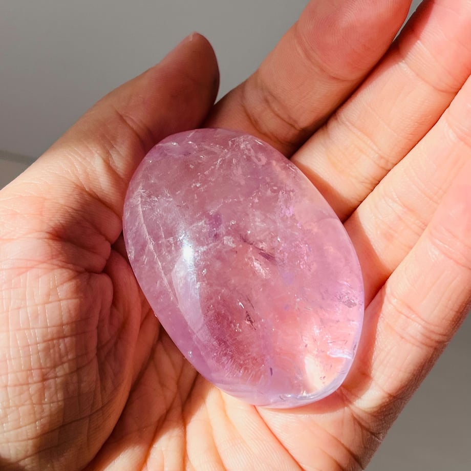 63a13d22d5ffeb6de309ccdd