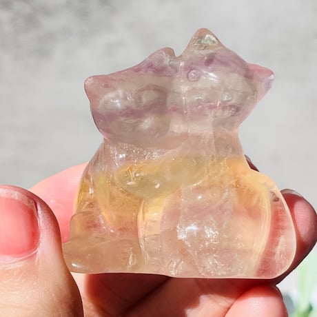 虹キラ🌈✨　フローライト　仲良し　猫ちゃん