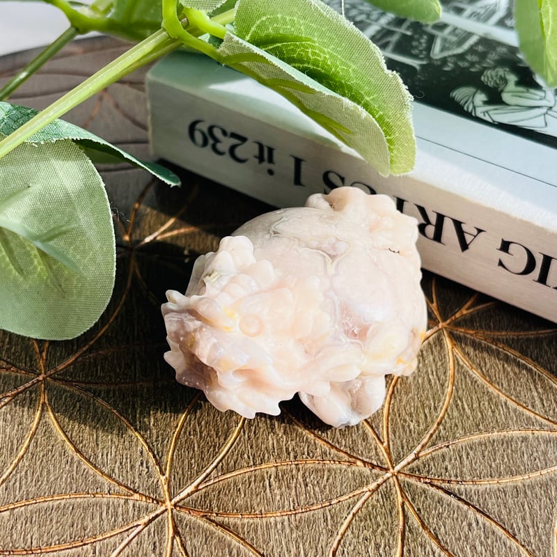 桜瑪瑙 ロングイ | Crystal shop Mayria