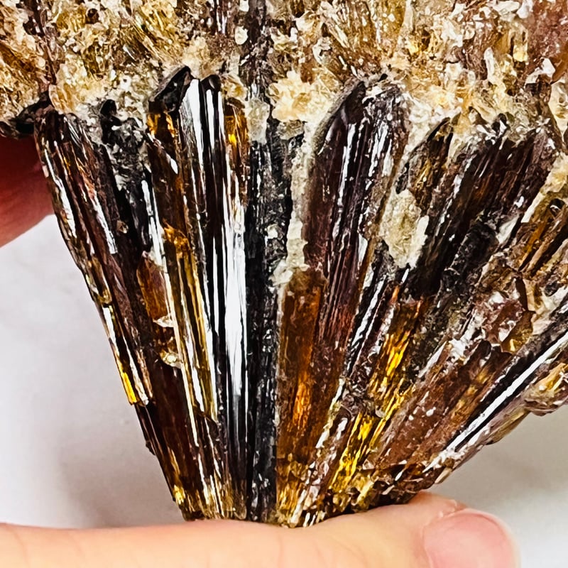 アンバーハニーカルサイトNo.1305 繁栄♡♡ アンバーハニーカルサイトNo.1305 繁栄♡♡