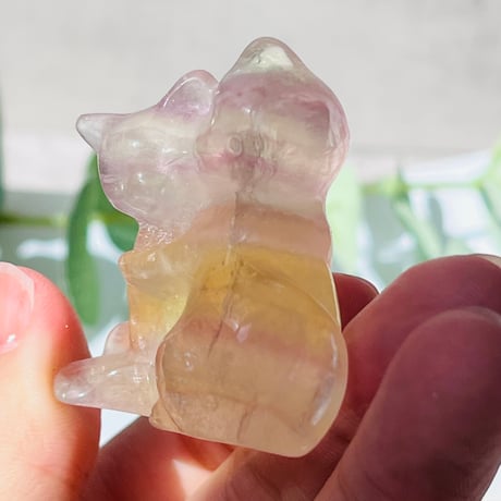 虹キラ🌈✨　フローライト　仲良し　猫ちゃん