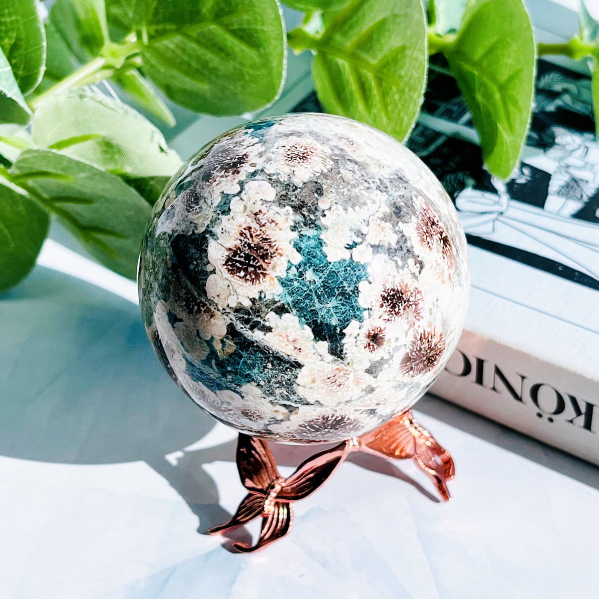 fit=scale-down,w=1200