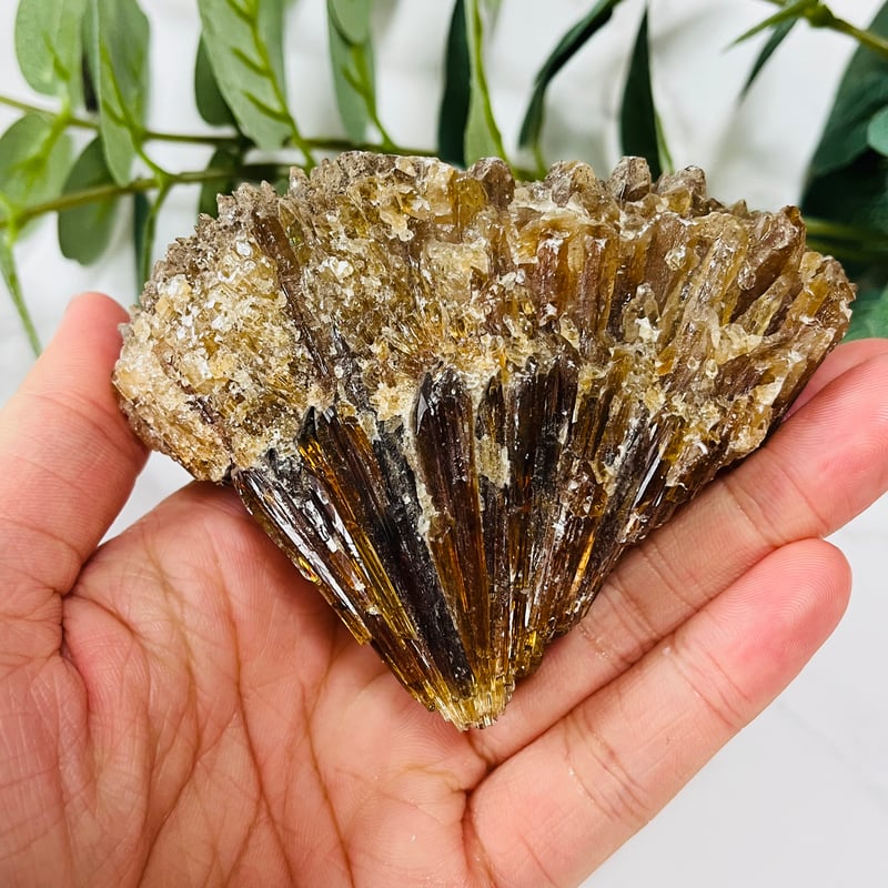 虹キラ🌈✨ アンバーカルサイト | Crystal shop Mayria