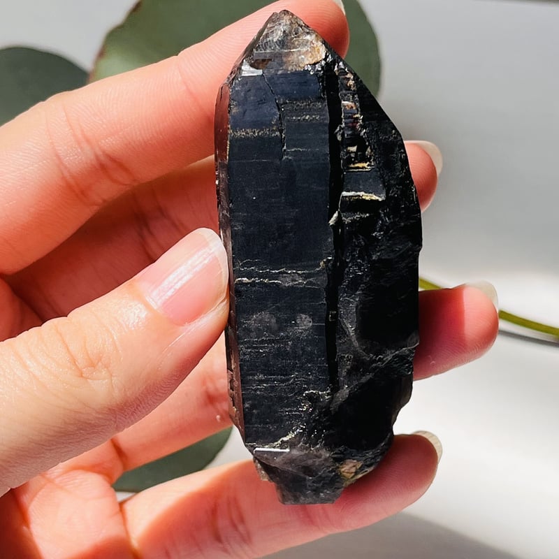 モリオンポイントクラスターNo.738 モリオンポイントクラスターNo.738