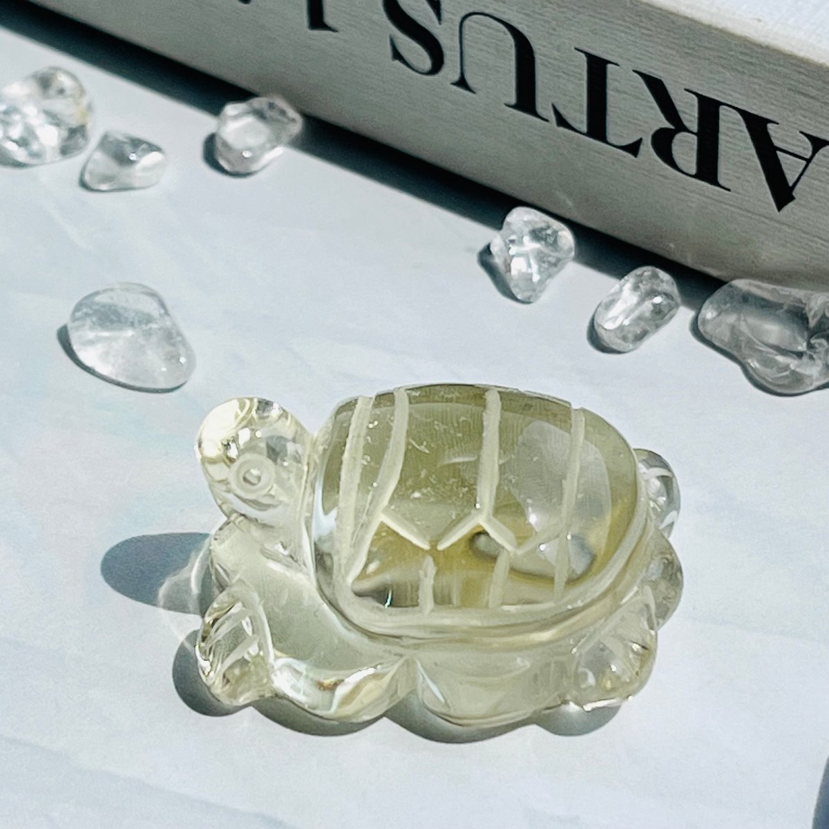 シトリン 姫亀 | Crystal shop Mayria