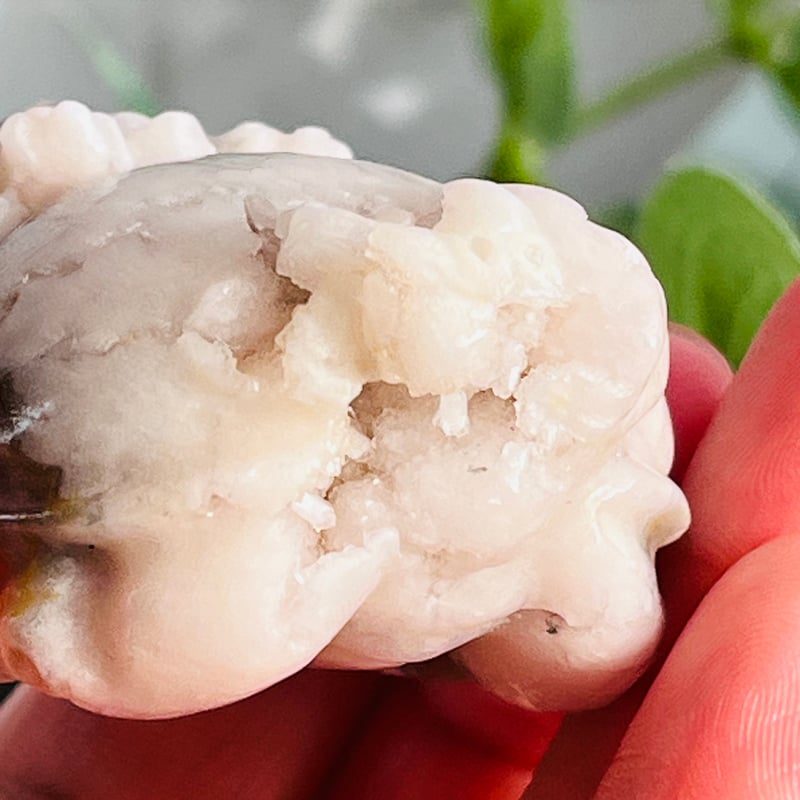 桜瑪瑙 ロングイ | Crystal shop Mayria