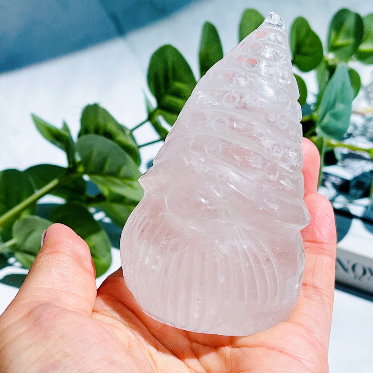 クリア クォーツ ノーム クリア クォーツ ノーム