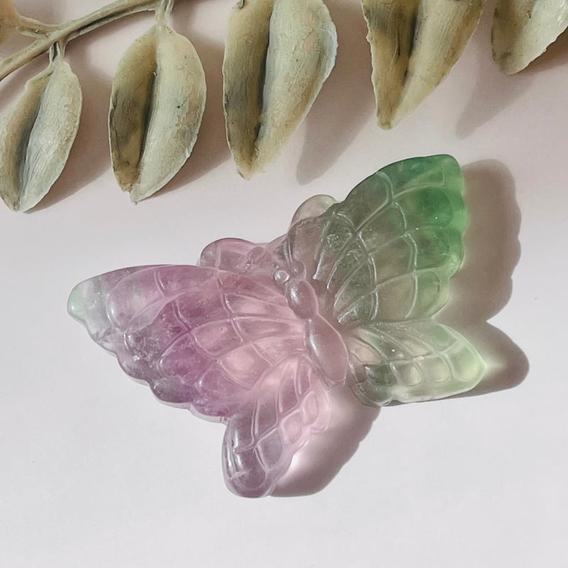値下げ！！フローライト☆蝶の羽☆ 【公式通販】