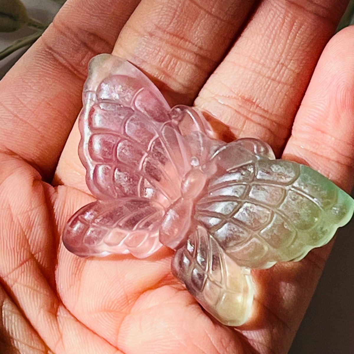 値下げ！！フローライト☆蝶の羽☆ さらに値下げ！！フローライト☆蝶の羽☆