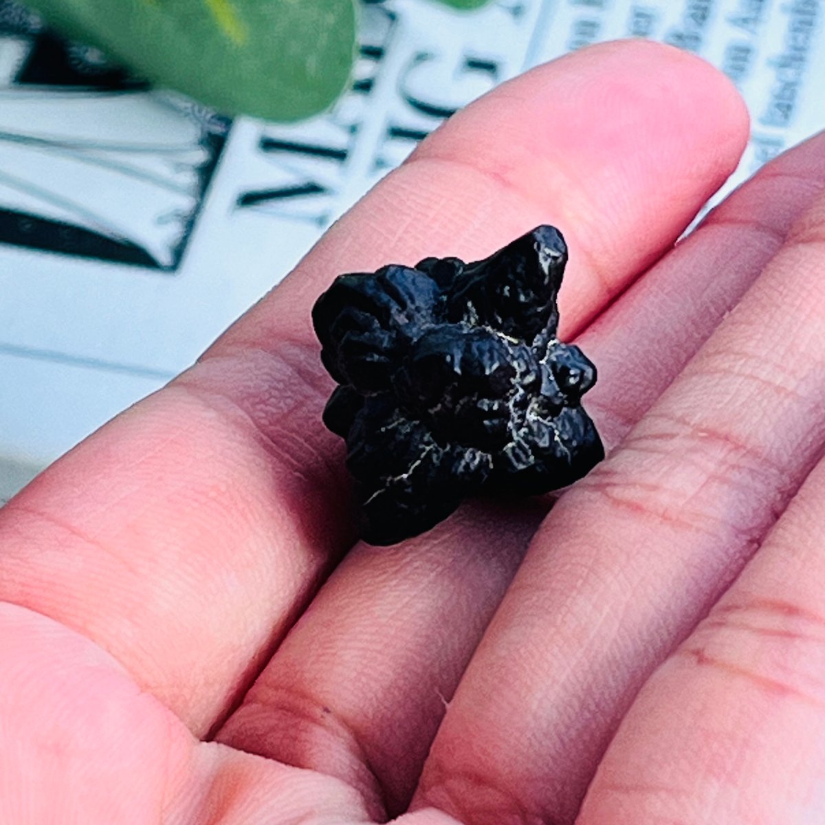 プロフェシーストーン（予言の石） 原石 99g【67372a】