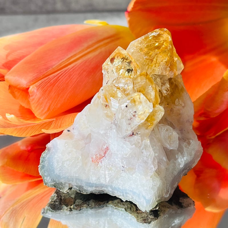 虹入り🌈✨ スーパーファントム シトリン 原石 | Crystal shop