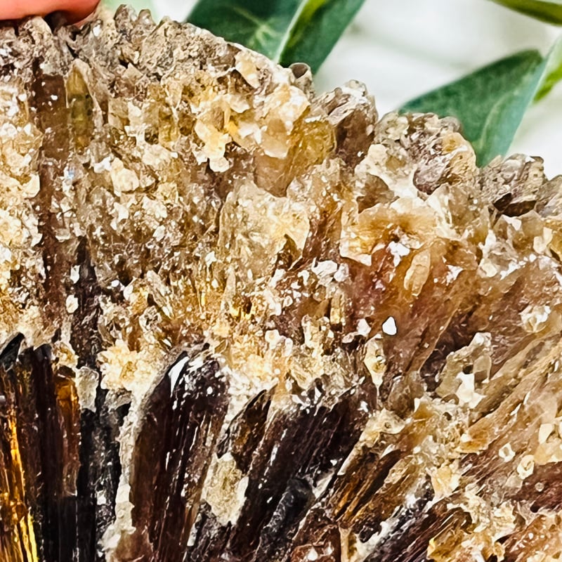 虹キラ🌈✨ アンバーカルサイト | Crystal shop Mayria