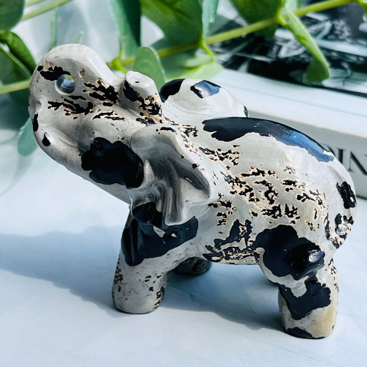 fit=scale-down,w=1200