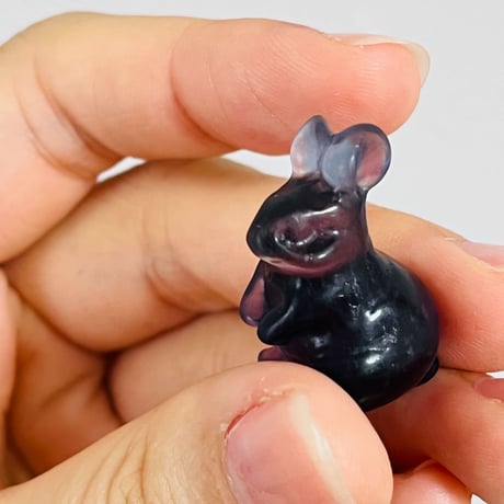赤ちゃん　うさぎ