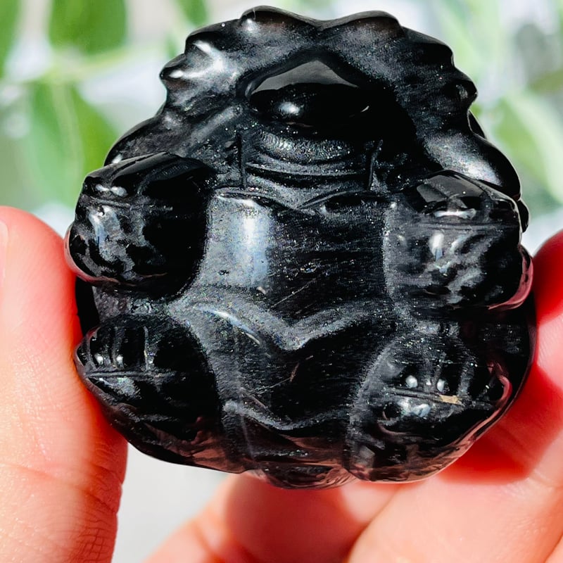お値打ち品‼️マダガスカル産！希少！モリオンロングイ 中国/山東省産]モリオン彫刻/天然黒水晶（龍亀/ロングイ） - 埼玉県