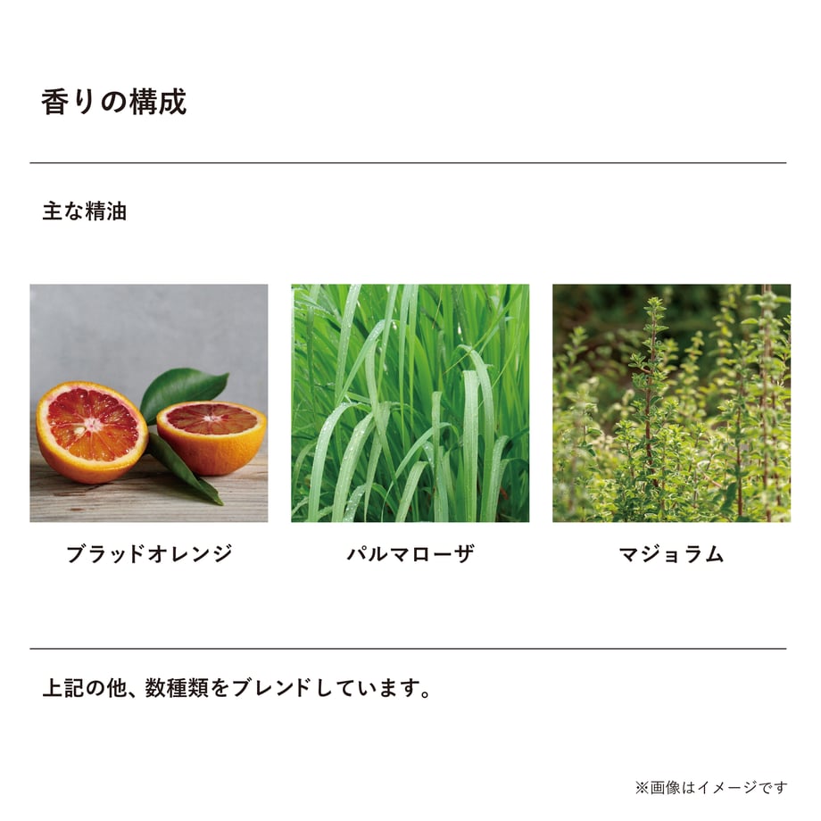 6498efd49cdd850035b2977e