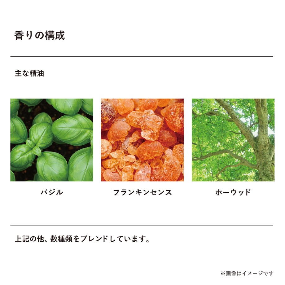6498f1a6e37c5b002d58179d